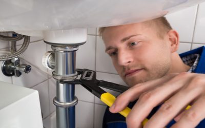 The Role of Professional Drain Cleaning in Tampa, FL—Plumbing Maintenance Plans